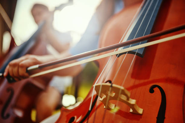 Фестиваль виолончелистов имени Кнушевицкого в Саратове закончится гала-концертом