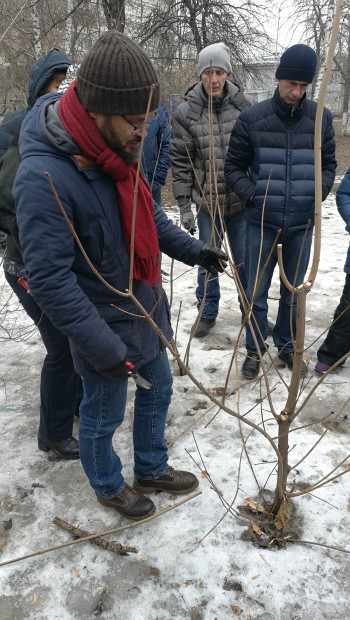 Трава у дома только снится: в новых градостроительных нормативах Саратова зелени много, но будет ли она в реальности - вопрос