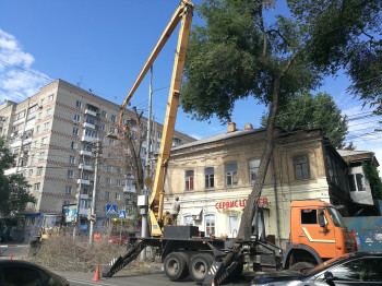 В Саратове щепки летят: на улице Московской допиливают последние вязы, на Барнаульской сносят тополя