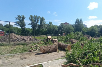 Это плохие деревья: саратовские чиновники собираются лишить Детский парк 228 деревьев. Вырубка у стадиона - только начало