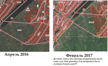 Спасти лес у Тинь-Зиня: жители Энгельса голосуют за статус особо охраняемой территории