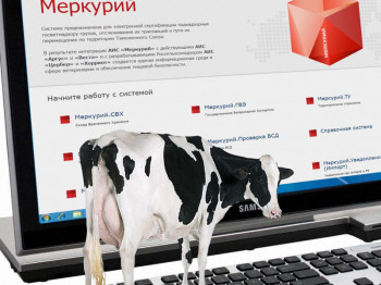 От «Меркурия» до онлайн-касс: саратовских предпринимателей ждут на бесплатный семинар по правилам торговли