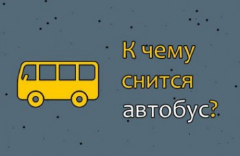 Не отрекаются любя: сон о том, как в транспортном управлении Саратова помогают перевозчикам править документы