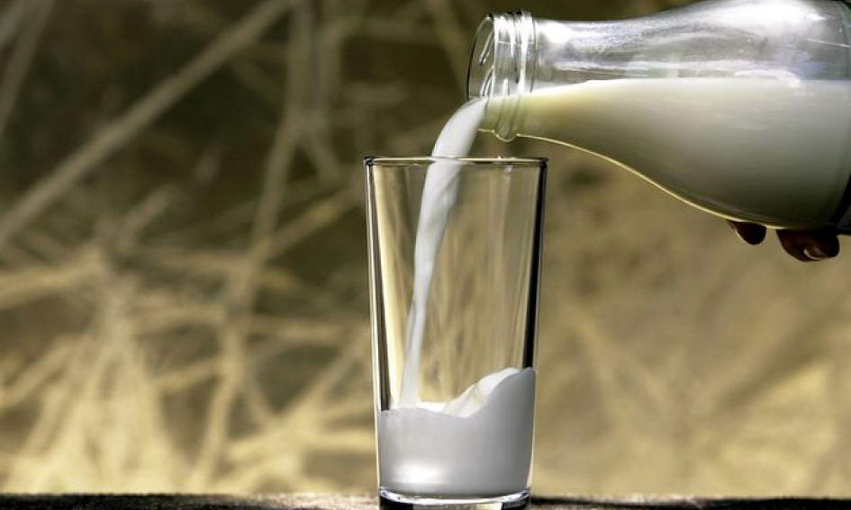 Молоко для прокуроров: от хозяйства под Саратовом требуют вернуть 14,5 млн субсидий. Замминистра уже получила срок