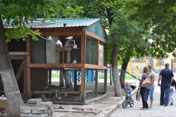 Владелица изгнанного из сквера мини-зоопарка добивается через суд возвращения в Саратов