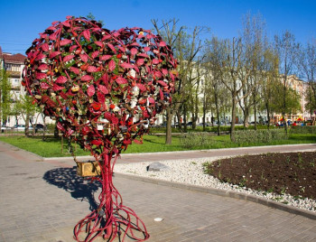 Петровск посадит стальное Дерево любви, Саратов порадует скейтеров фан-боксами