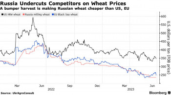 Bloomberg: каждая пятая экспортная сделка по пшенице будет из России
