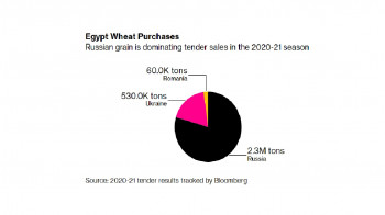 Bloomberg: Россия засыплет Египет зерном