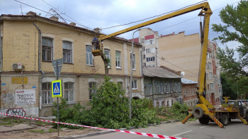 Зеленый геноцид в Саратове: противозаконные действия при явной заинтересованности чиновников изучит суд