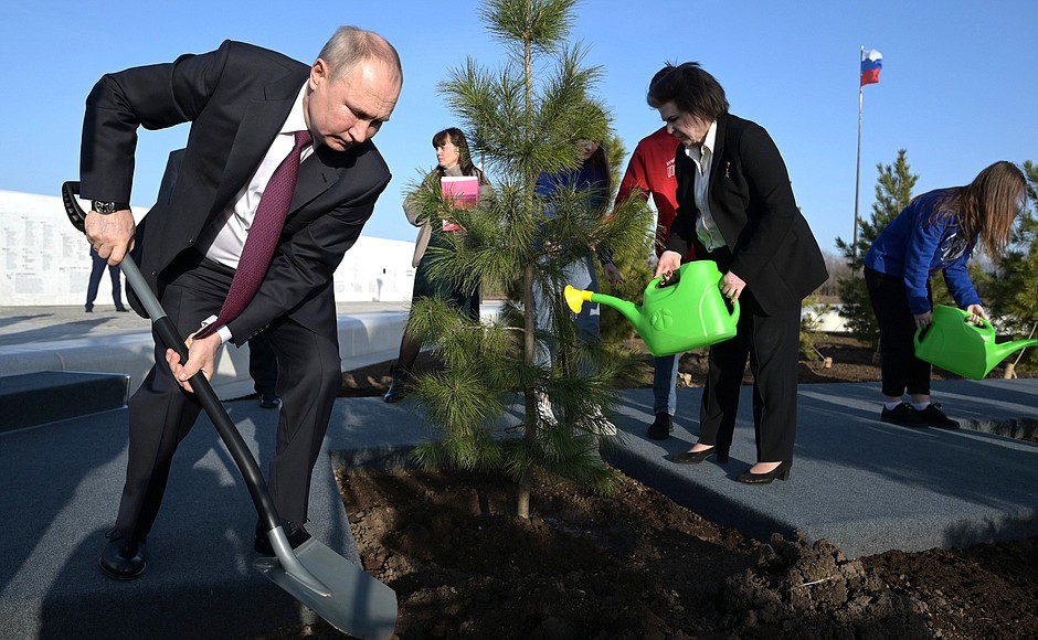 Цветок на столе у путина название